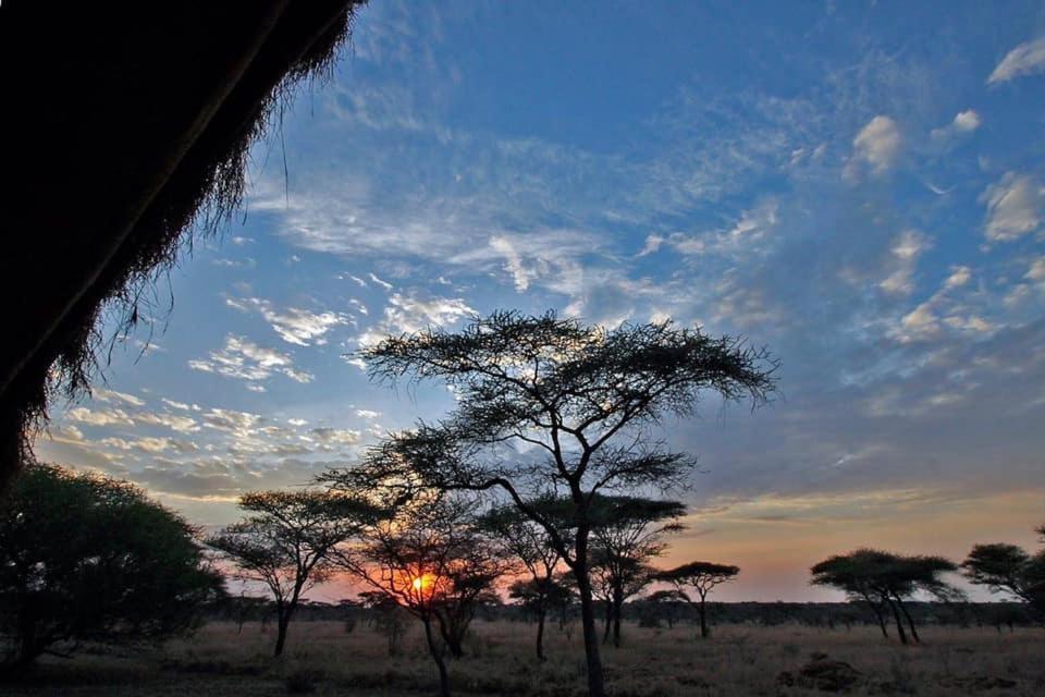 Rafiki Village ワタム エクステリア 写真